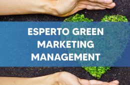 green_management_marketing